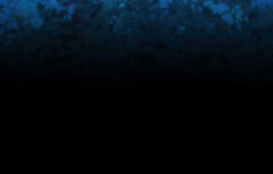 Ánh Sáng Cuối Con Đường Chương 148 trang 29