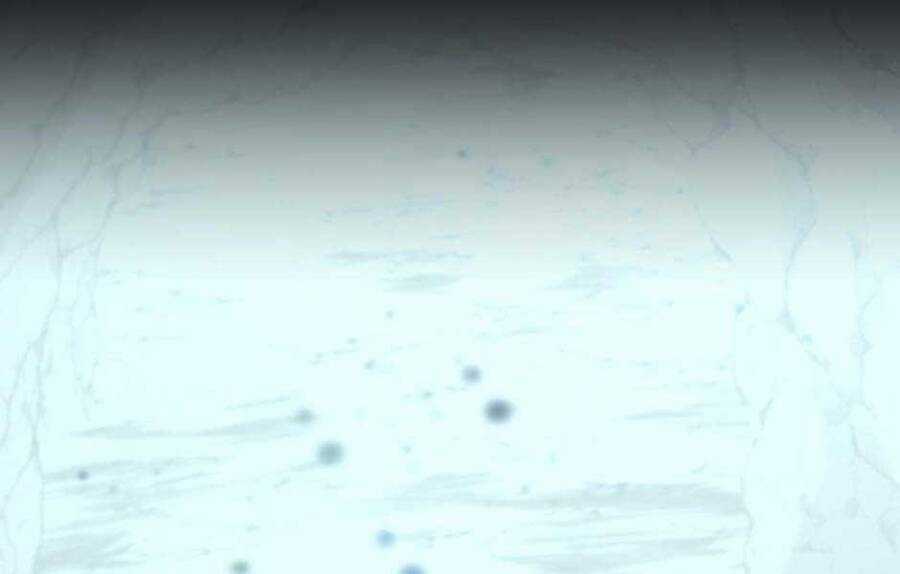 Ánh Sáng Cuối Con Đường Chương 149 trang 240