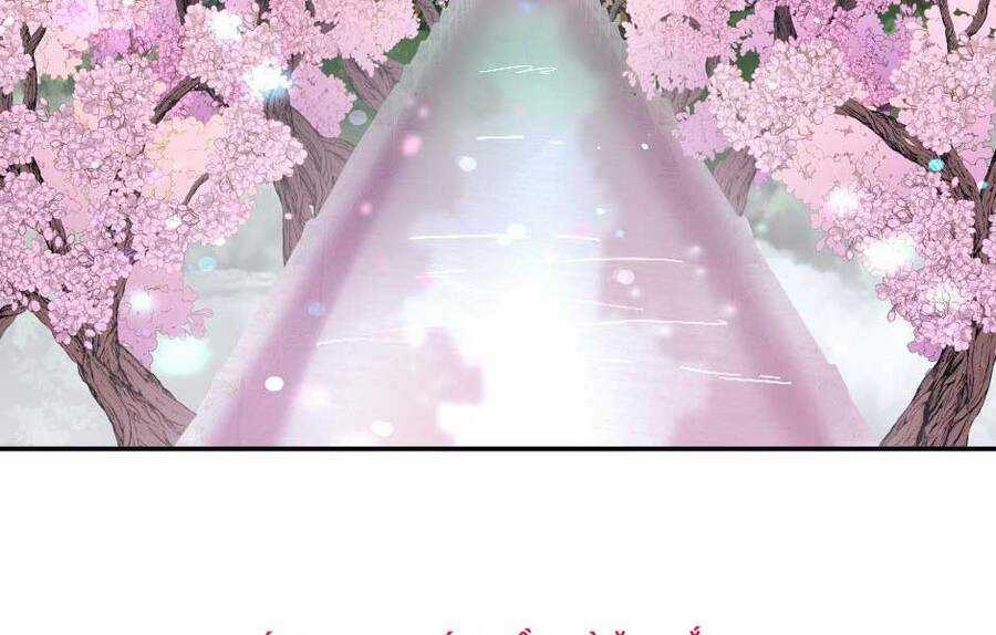 Ánh Sáng Cuối Con Đường Chương 151 trang 28