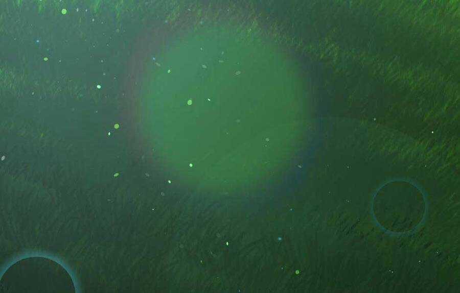 Ánh Sáng Cuối Con Đường Chương 152 trang 329