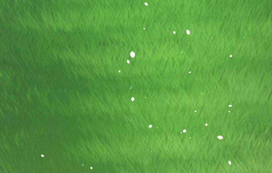 Ánh Sáng Cuối Con Đường Chương 154 trang 110