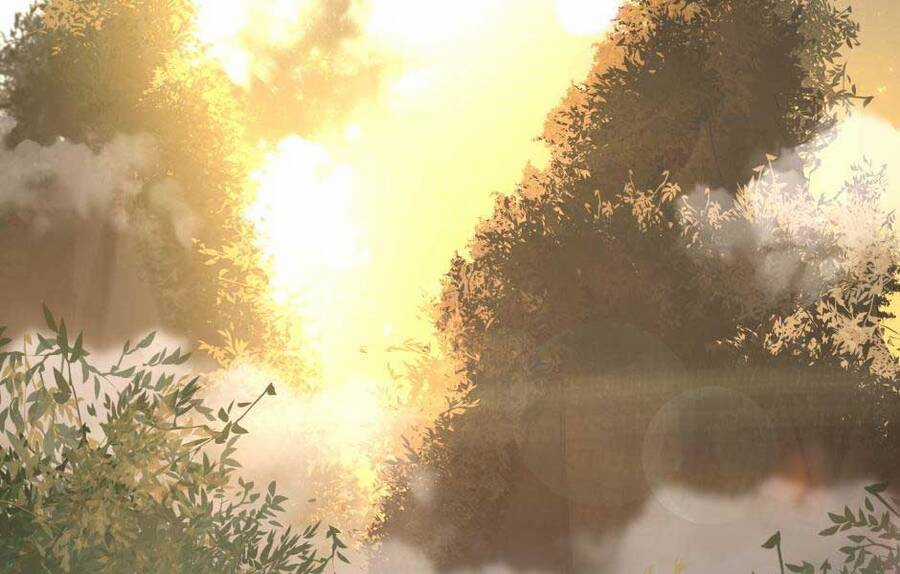 Ánh Sáng Cuối Con Đường Chương 155 trang 210