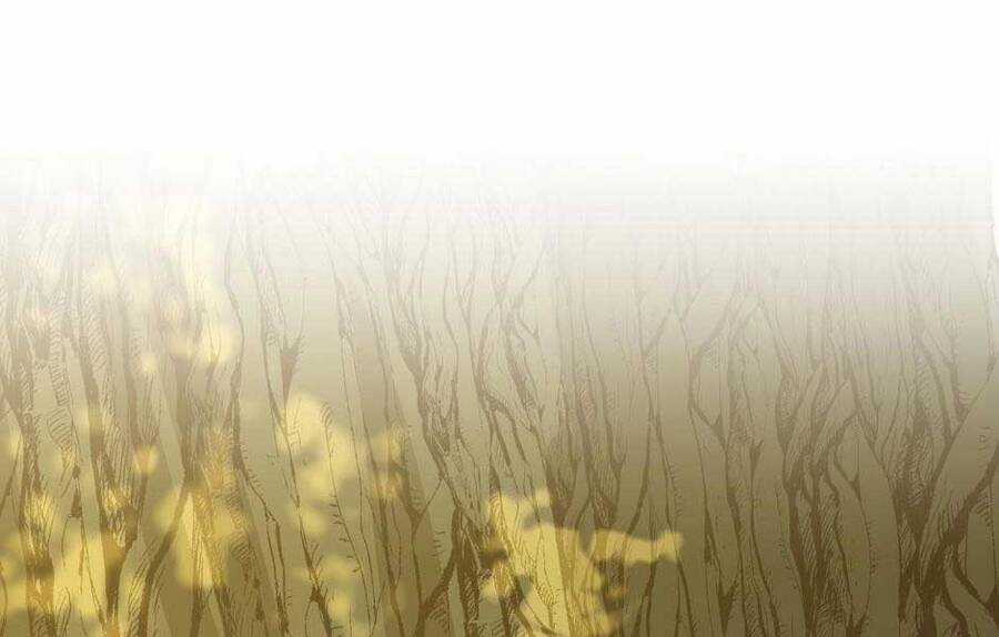 Ánh Sáng Cuối Con Đường Chương 155 trang 213