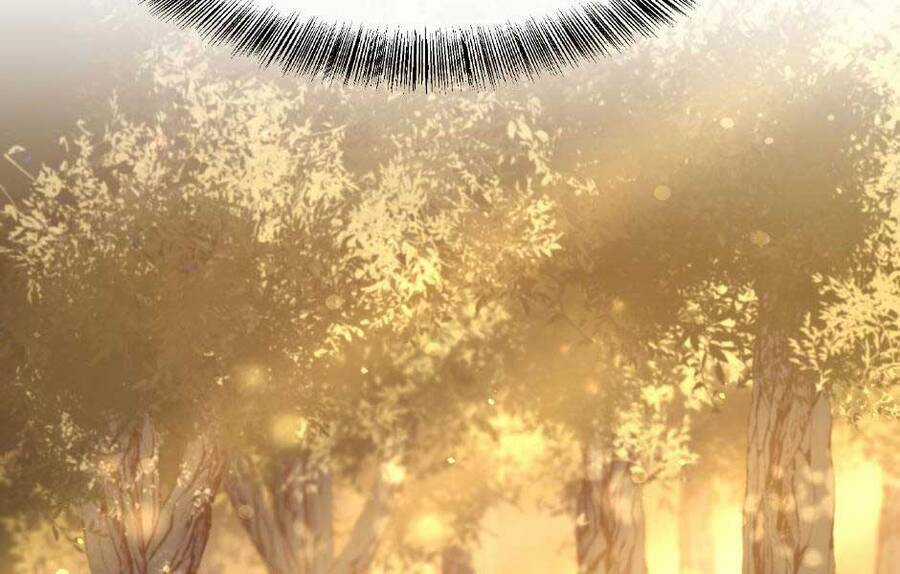 Ánh Sáng Cuối Con Đường Chương 155 trang 263