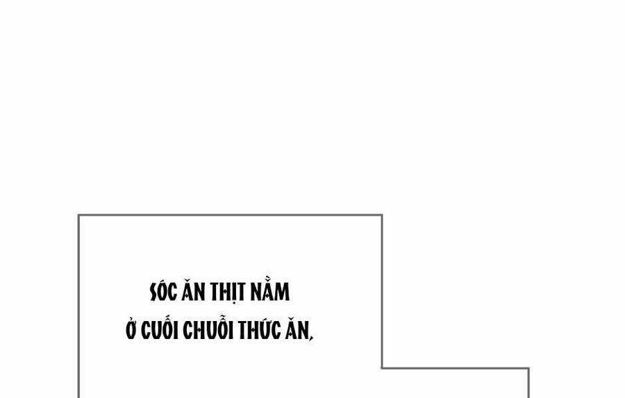 Ánh Sáng Cuối Con Đường Chương 155 trang 31