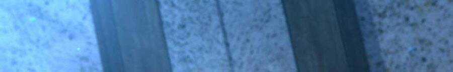 Ánh Sáng Cuối Con Đường Chương 158 trang 29