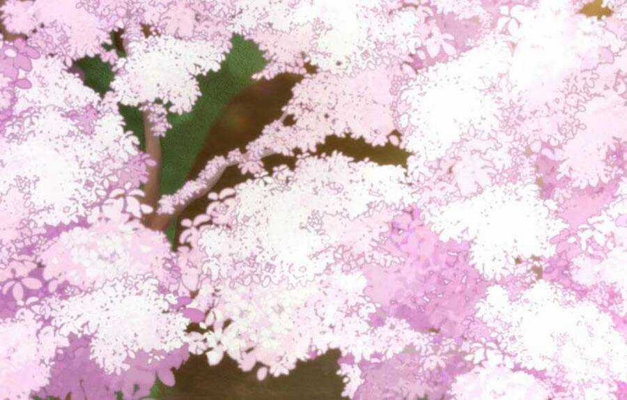 Ánh Sáng Cuối Con Đường Chương 160 trang 165