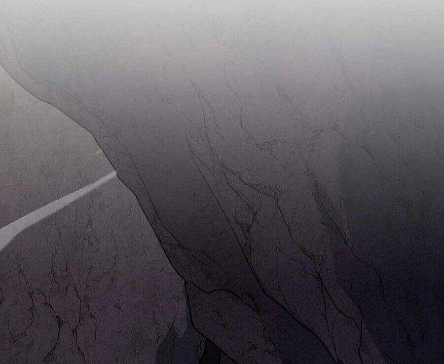 Ánh Sáng Cuối Con Đường Chương 204 trang 50