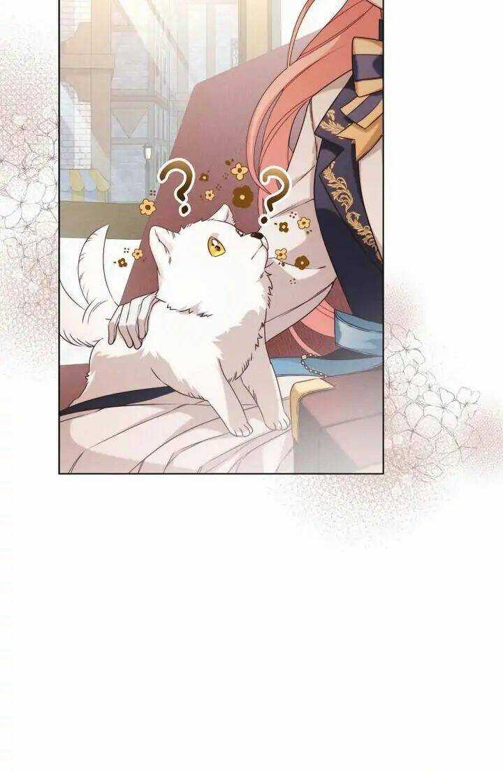 Ánh Sáng Vàng Của Bình Minh Chapter 5 trang 38