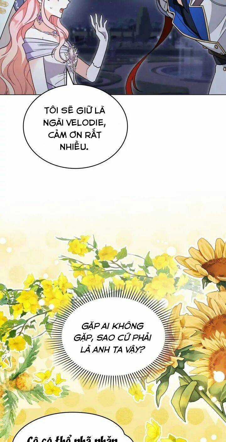 Ánh Sáng Vàng Của Bình Minh Chapter 53 trang 56