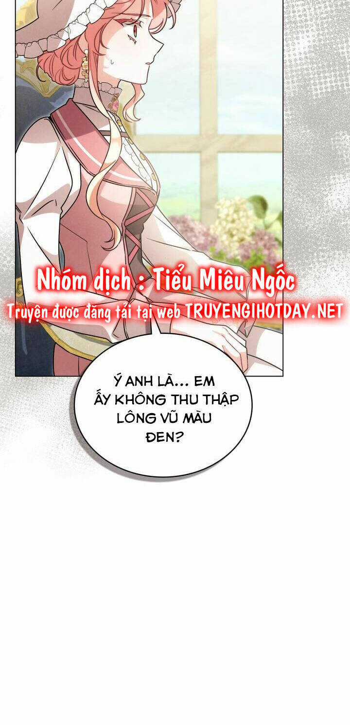 Ánh Sáng Vàng Của Bình Minh Chapter 64 trang 43