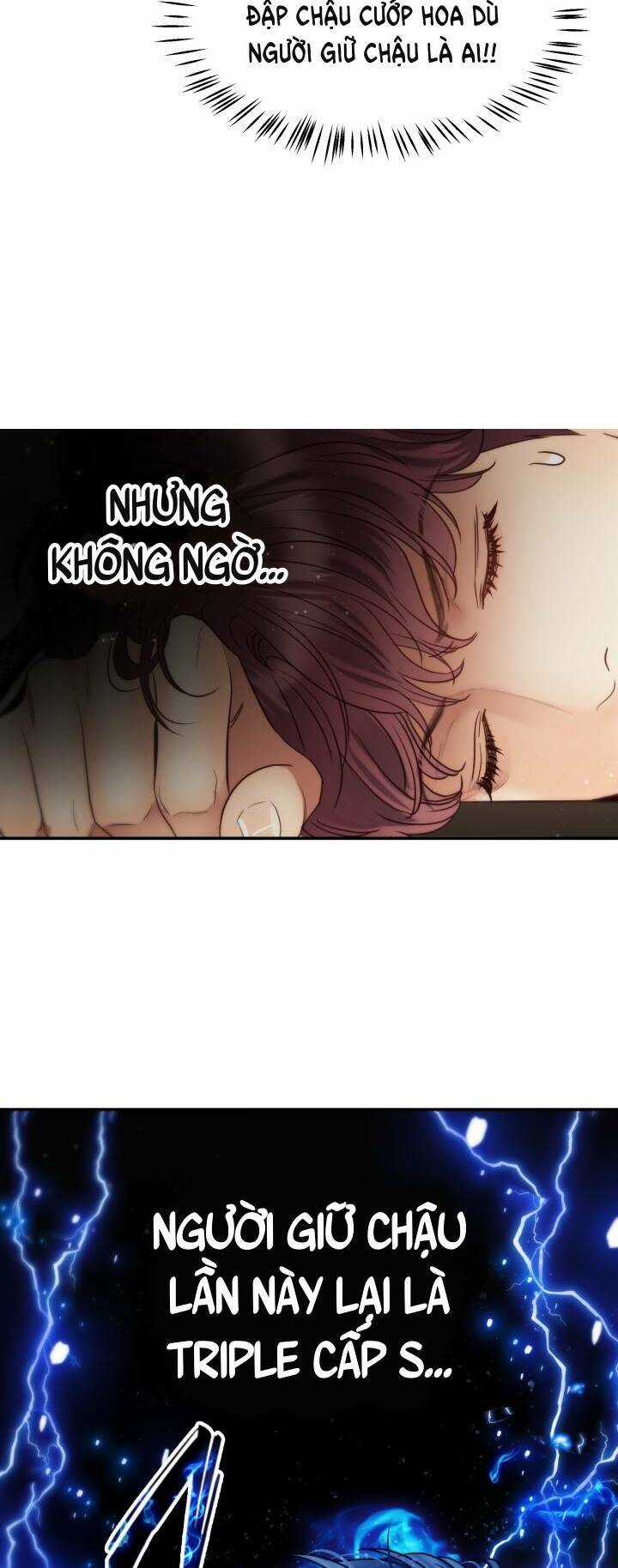 Ánh Sao Ban Mai Chapter 60 trang 24