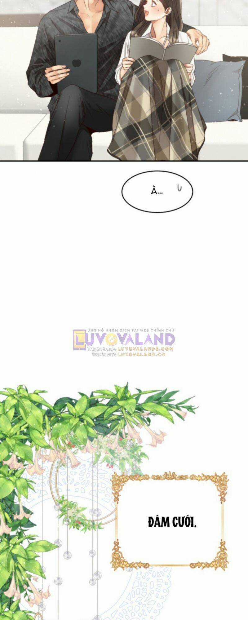 Ánh Sao Ban Mai Chapter 74 trang 2