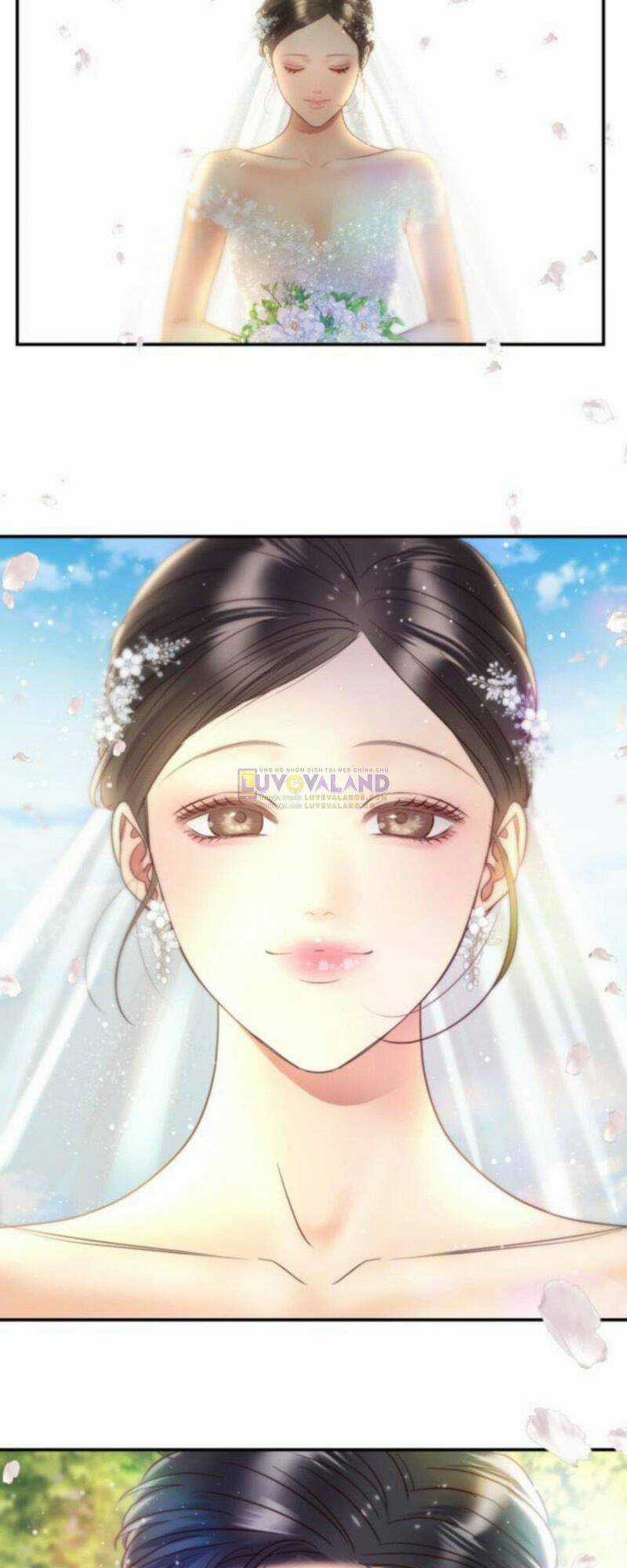 Ánh Sao Ban Mai Chapter 74 trang 33