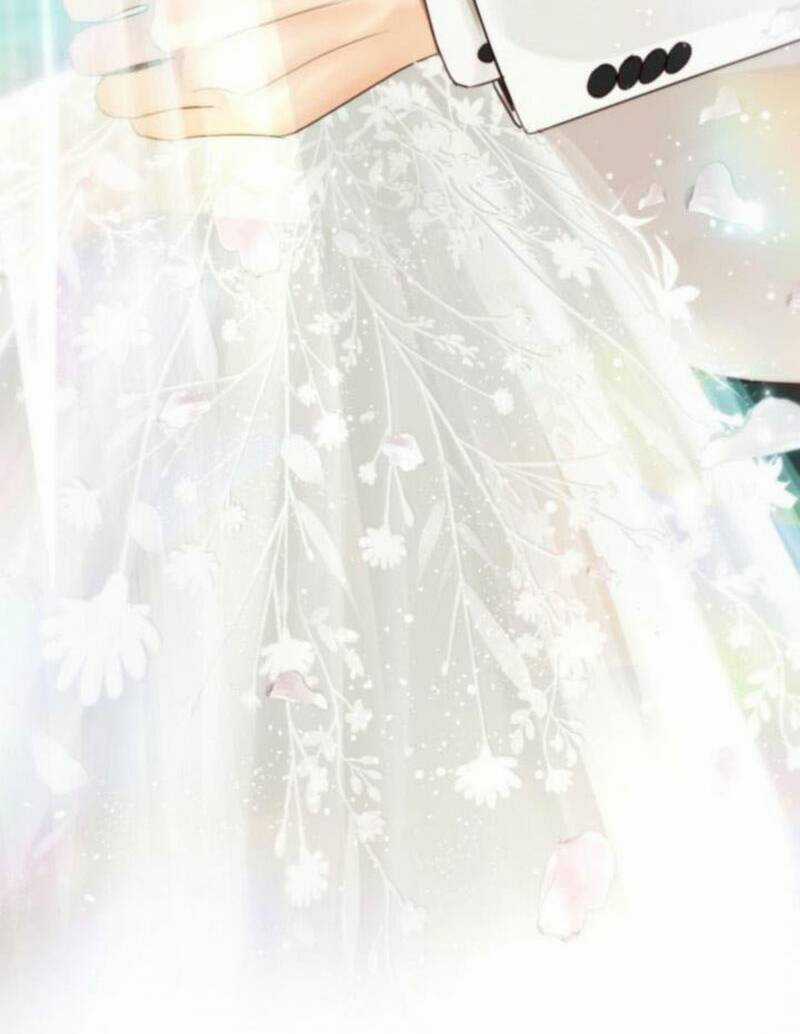 Ánh Sao Ban Mai Chapter 74 trang 42