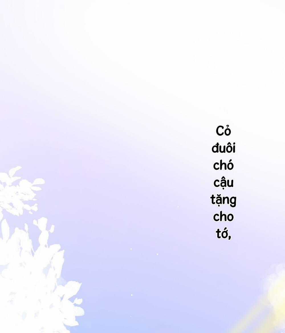 Ánh Sao Trôi Dạt Giữa Làn Nước Chapter 11 trang 1