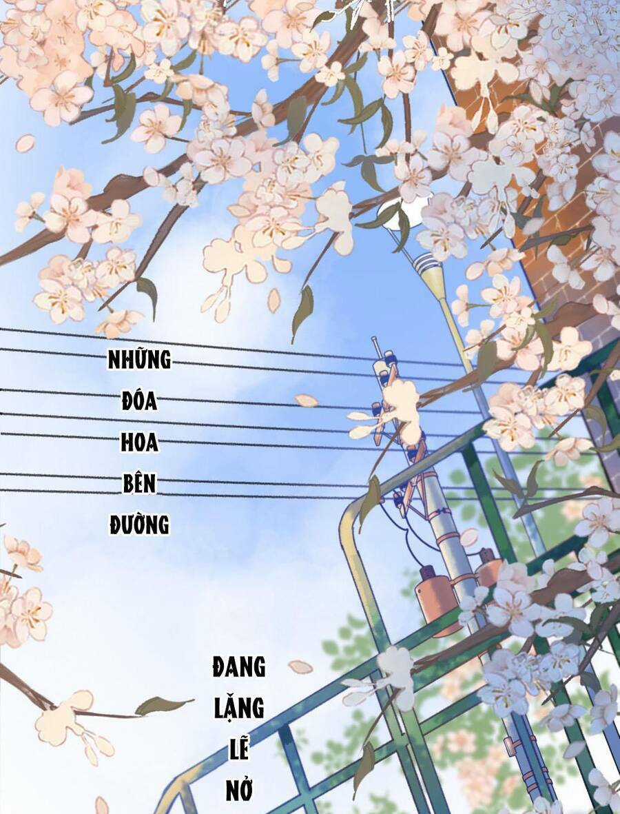 Ánh Sao Trôi Dạt Giữa Làn Nước Chapter 35 trang 2