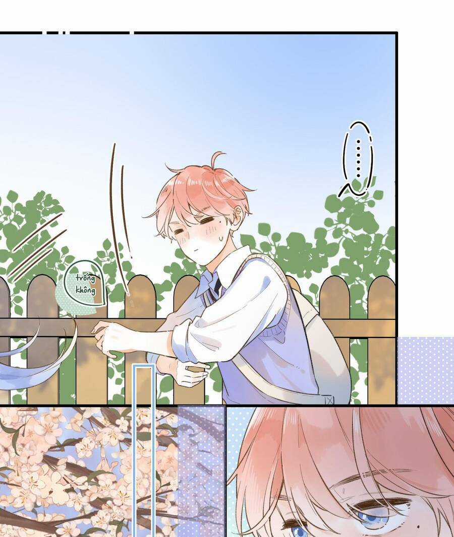 Ánh Sao Trôi Dạt Giữa Làn Nước Chapter 35 trang 21