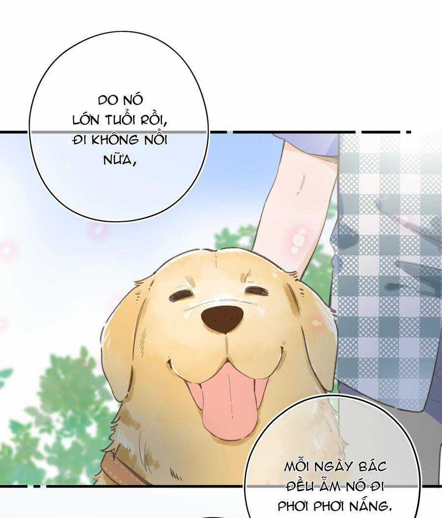 Ánh Sao Trôi Dạt Giữa Làn Nước Chapter 36 trang 15