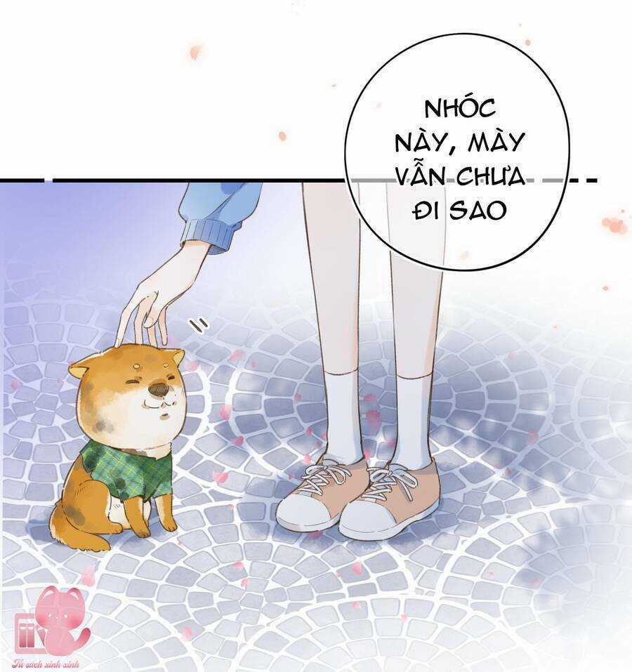 Ánh Sao Trôi Dạt Giữa Làn Nước Chapter 37 trang 24