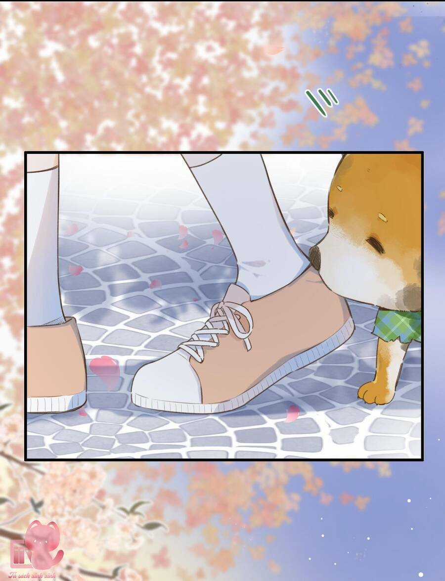 Ánh Sao Trôi Dạt Giữa Làn Nước Chapter 37 trang 27