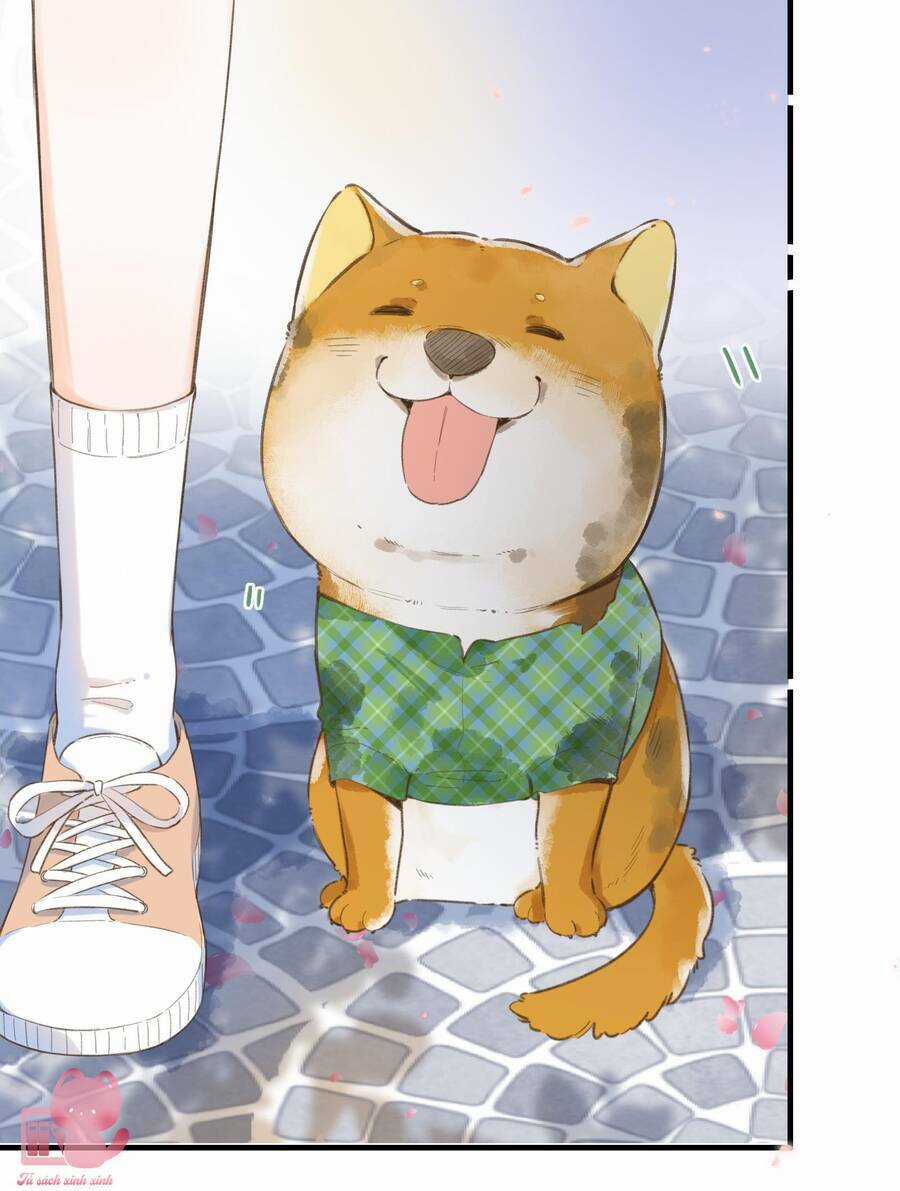 Ánh Sao Trôi Dạt Giữa Làn Nước Chapter 37 trang 29