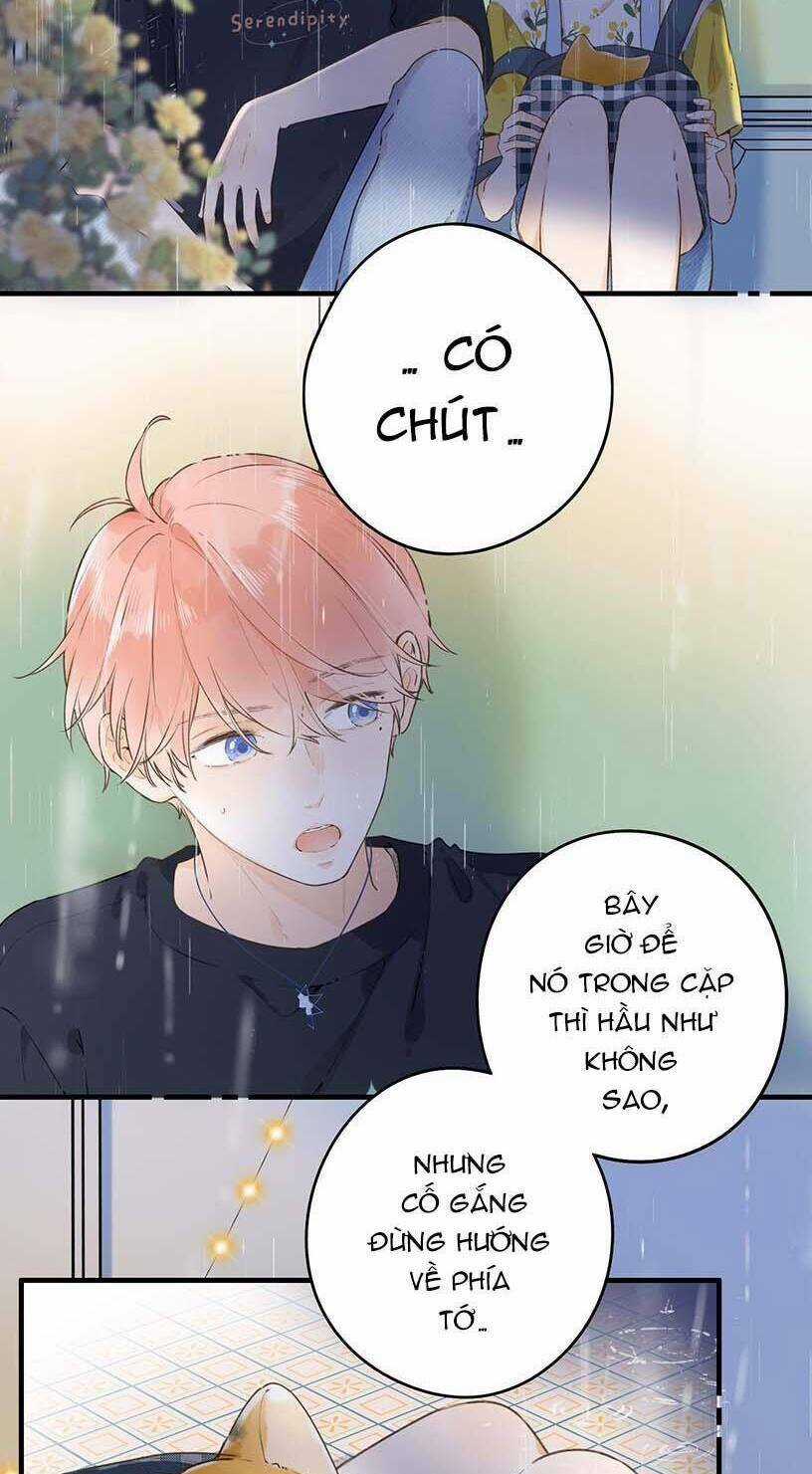 Ánh Sao Trôi Dạt Giữa Làn Nước Chapter 39 trang 5