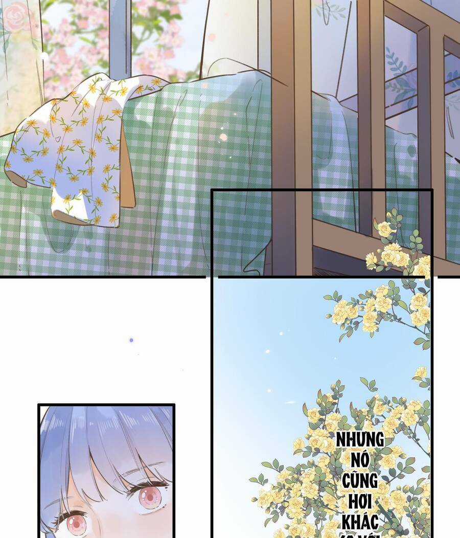 Ánh Sao Trôi Dạt Giữa Làn Nước Chapter 42.2 trang 18