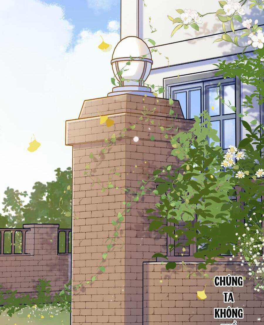 Ánh Sao Trôi Dạt Giữa Làn Nước Chapter 65 trang 4