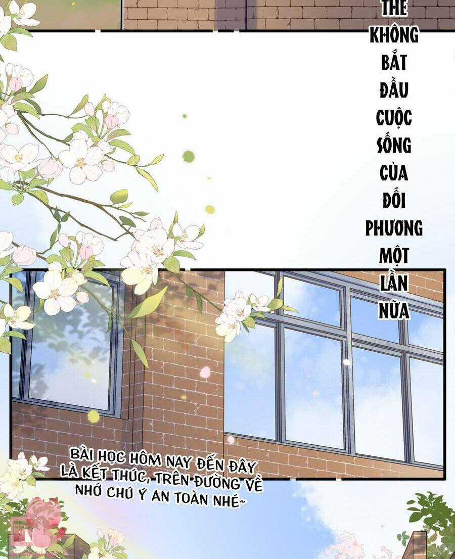 Ánh Sao Trôi Dạt Giữa Làn Nước Chapter 65 trang 5