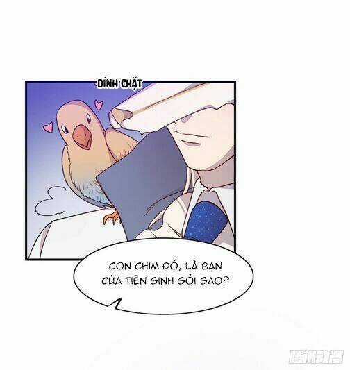 Anh Trai Ma Cà Rồng Và Bạn Trai Người Sói Của Tôi Chapter 17 trang 9