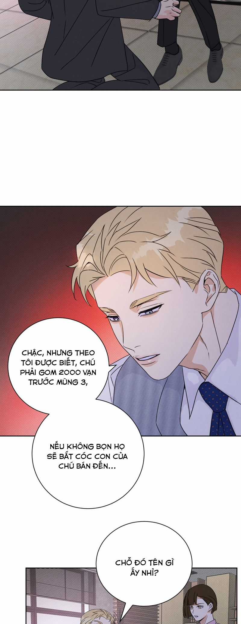 Anh Trai Tiện Lợi Của Tôi Chapter 34 trang 12