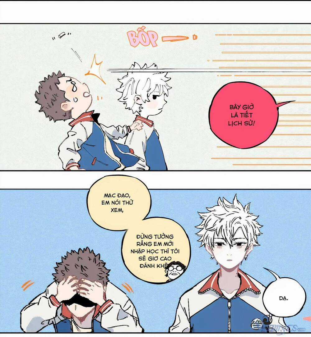 Anh Trai Tôi Đến Từ Núi Sâu Chapter 19 trang 8