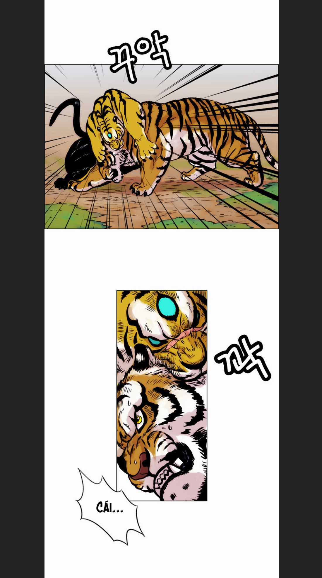 Anh Trai Tôi Là Hổ Chapter 13 trang 17