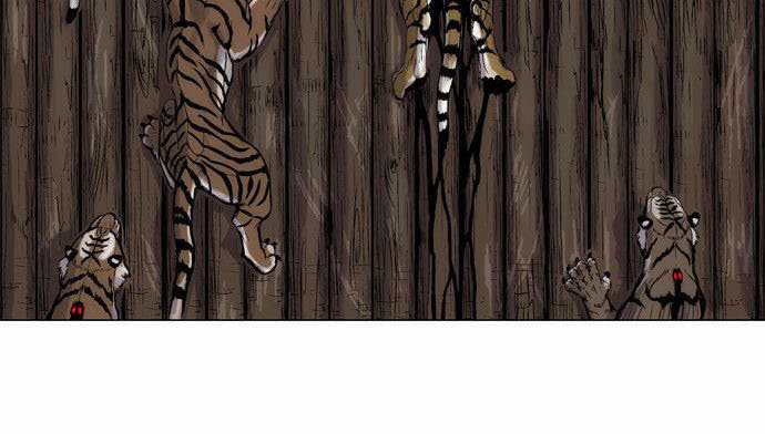 Anh Trai Tôi Là Hổ Chapter 2 trang 11