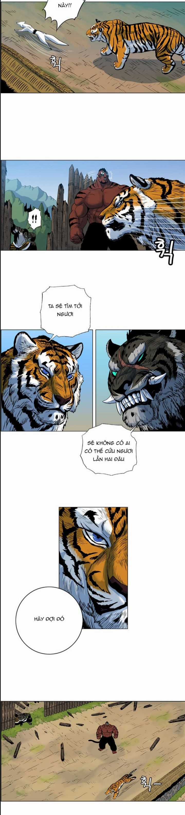 Anh Trai Tôi Là Hổ Chapter 33 trang 14