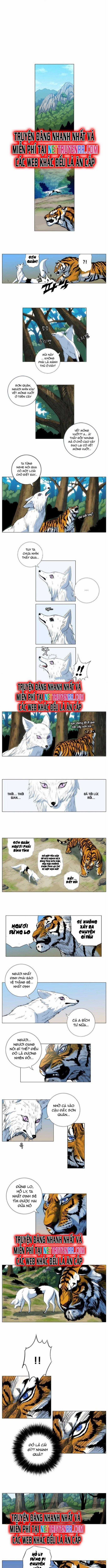Anh Trai Tôi Là Hổ Chapter 38 trang 2