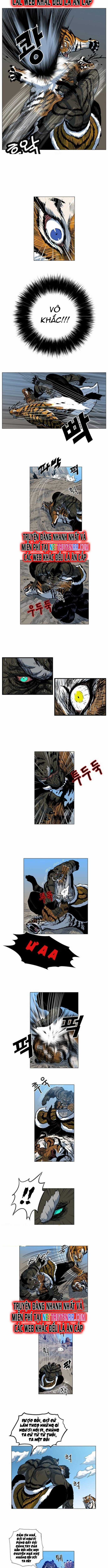 Anh Trai Tôi Là Hổ Chapter 40 trang 2