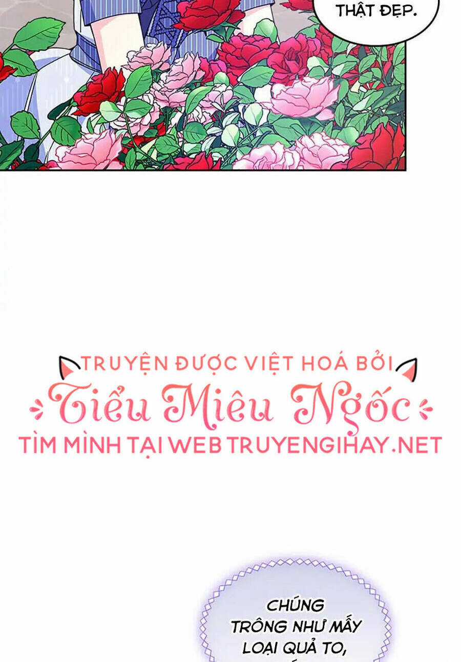 Anh Trai Tôi Quá Hiền Lành Làm Tôi Lo Lắng Ghê Chapter 60 trang 63