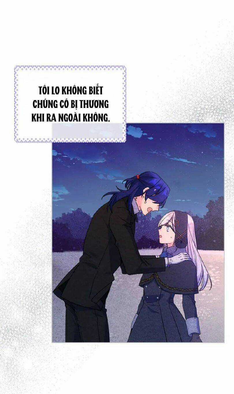 Anh Trai Tôi Quá Hiền Lành Làm Tôi Lo Lắng Ghê Chapter 68 trang 48