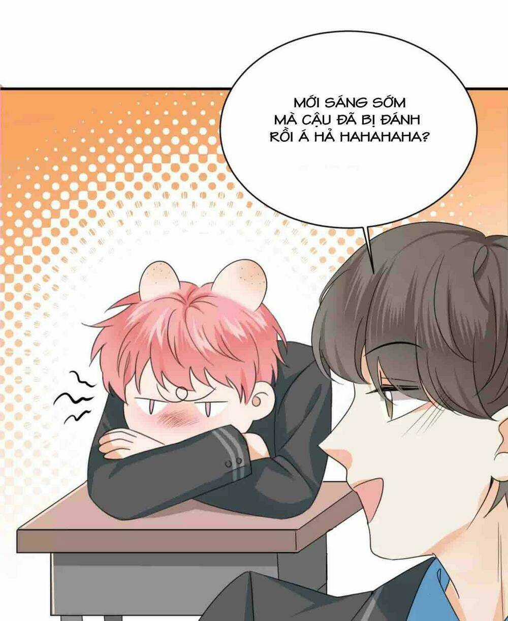 Ánh Trăng Ngọt Ngào Chapter 13 trang 8