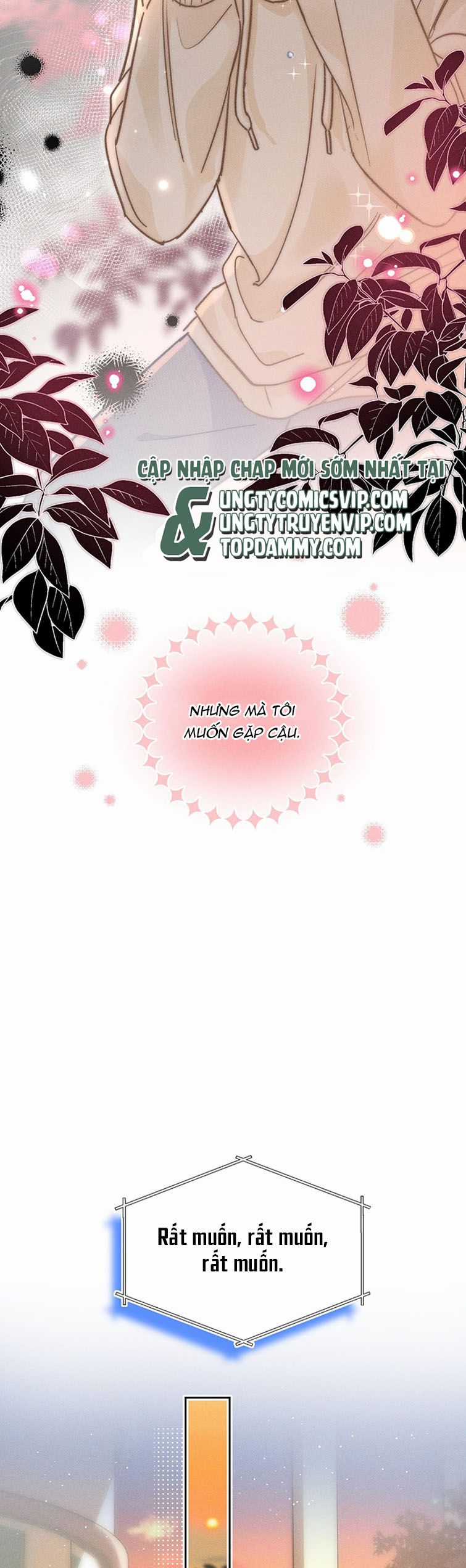 Ánh Trăng Vì Tôi Mà Đến Chapter 35 trang 13