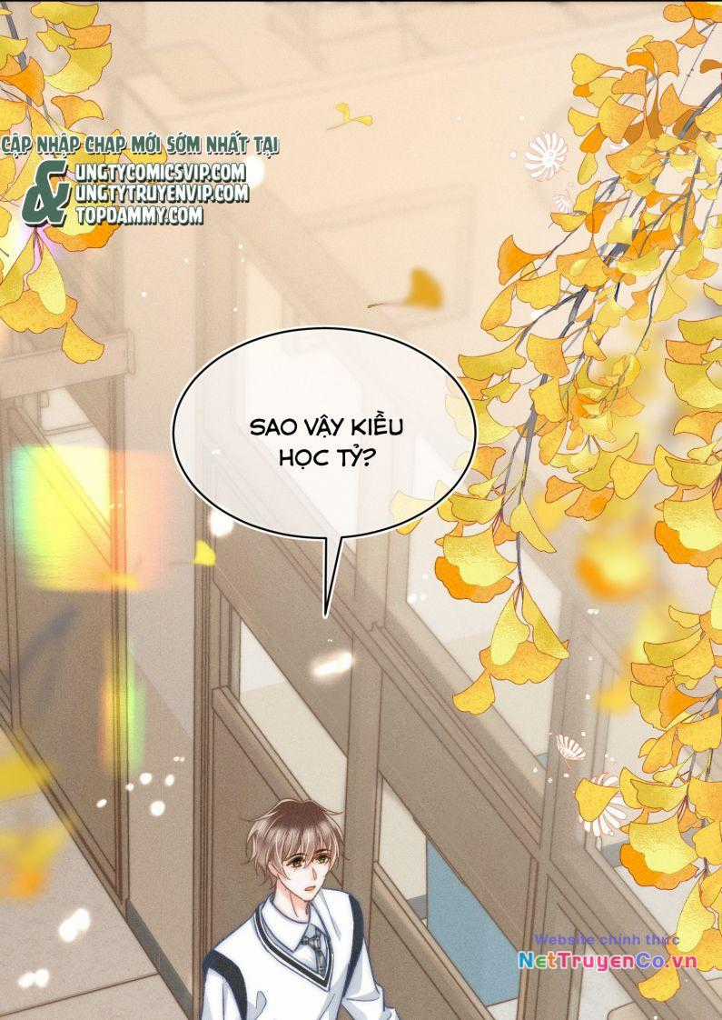 Ánh Trăng Vì Tôi Mà Đến Chapter 43 trang 21