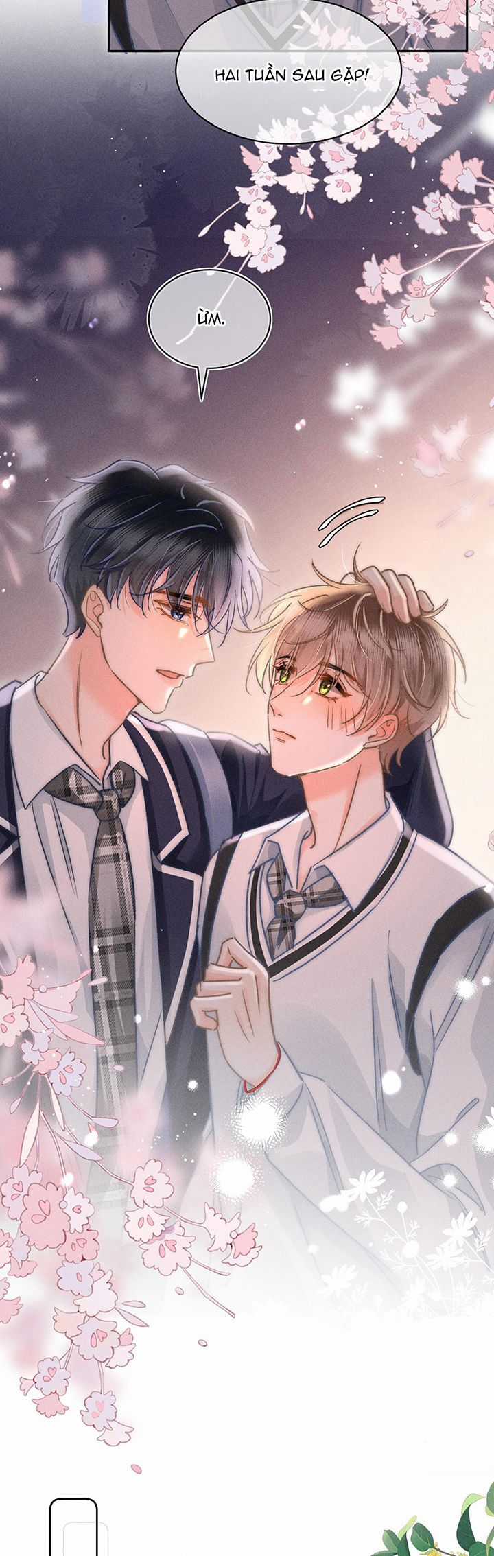 Ánh Trăng Vì Tôi Mà Đến Chapter 46 trang 16