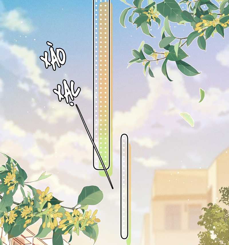 Ánh Trăng Vì Tôi Mà Đến Chapter 47 trang 4