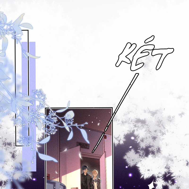 Ánh Trăng Vì Tôi Mà Đến Chapter 49 trang 4