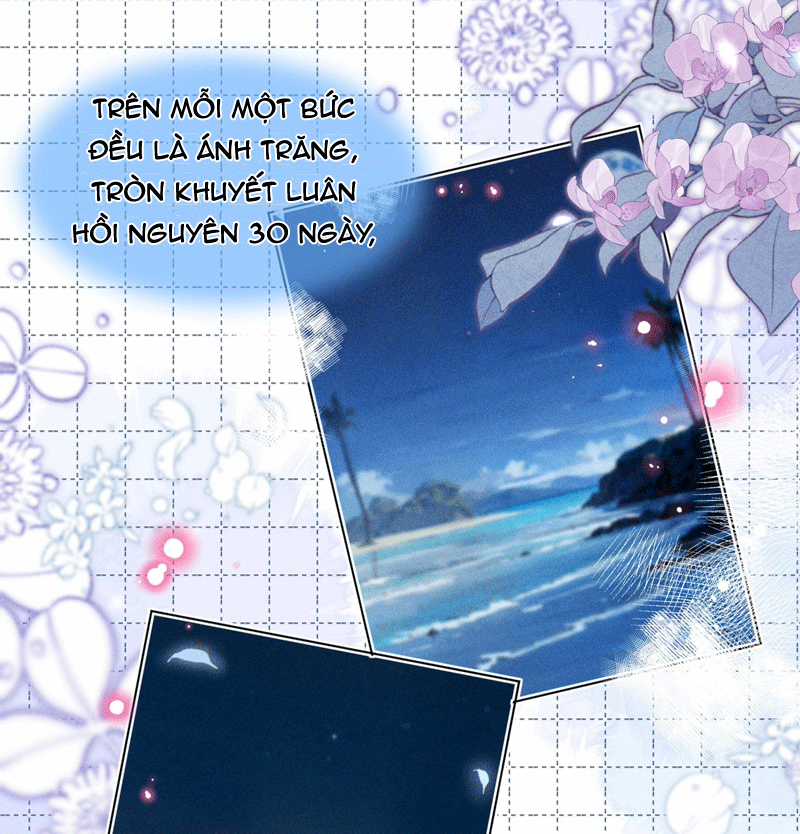 Ánh Trăng Vì Tôi Mà Đến Chapter 49 trang 60