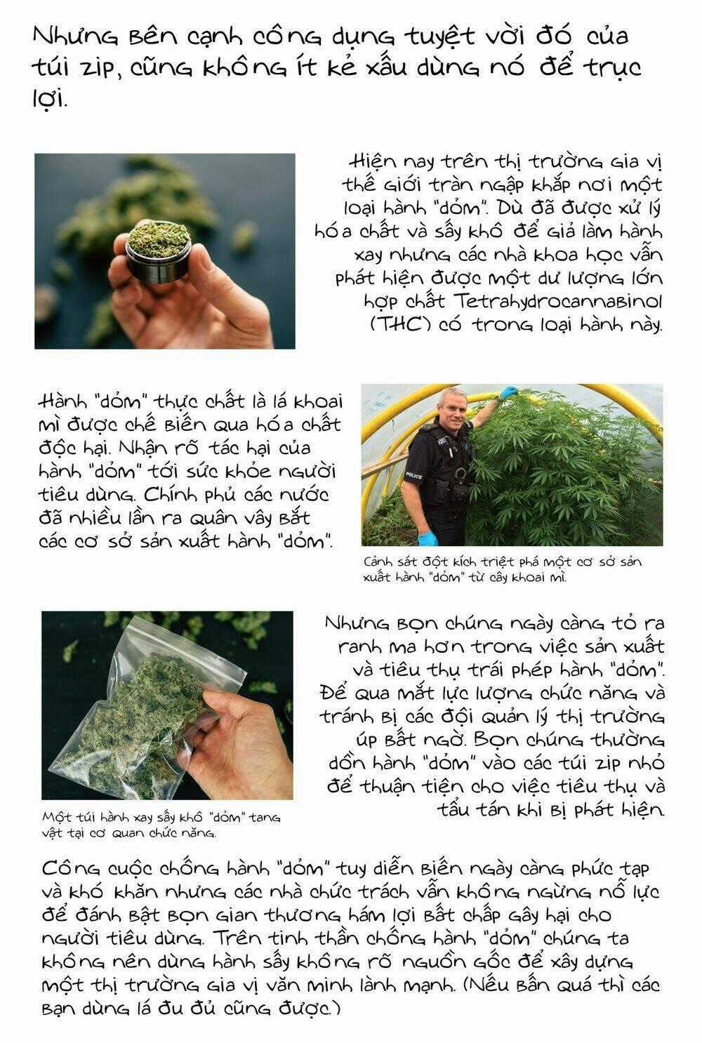 Ani No Yome To Kurashite Imasu Chapter 14 trang 19