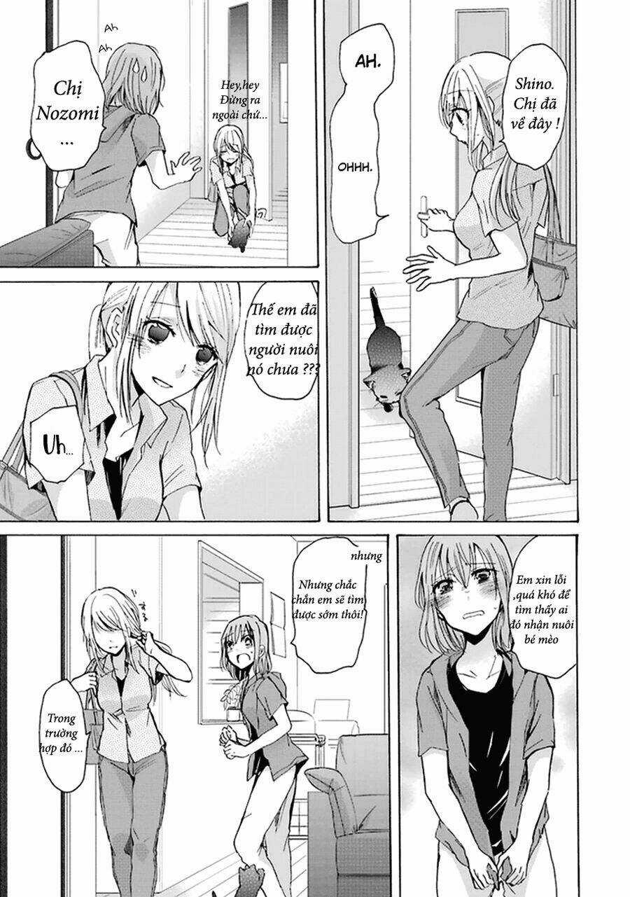 Ani No Yome To Kurashite Imasu Chapter 5 trang 15