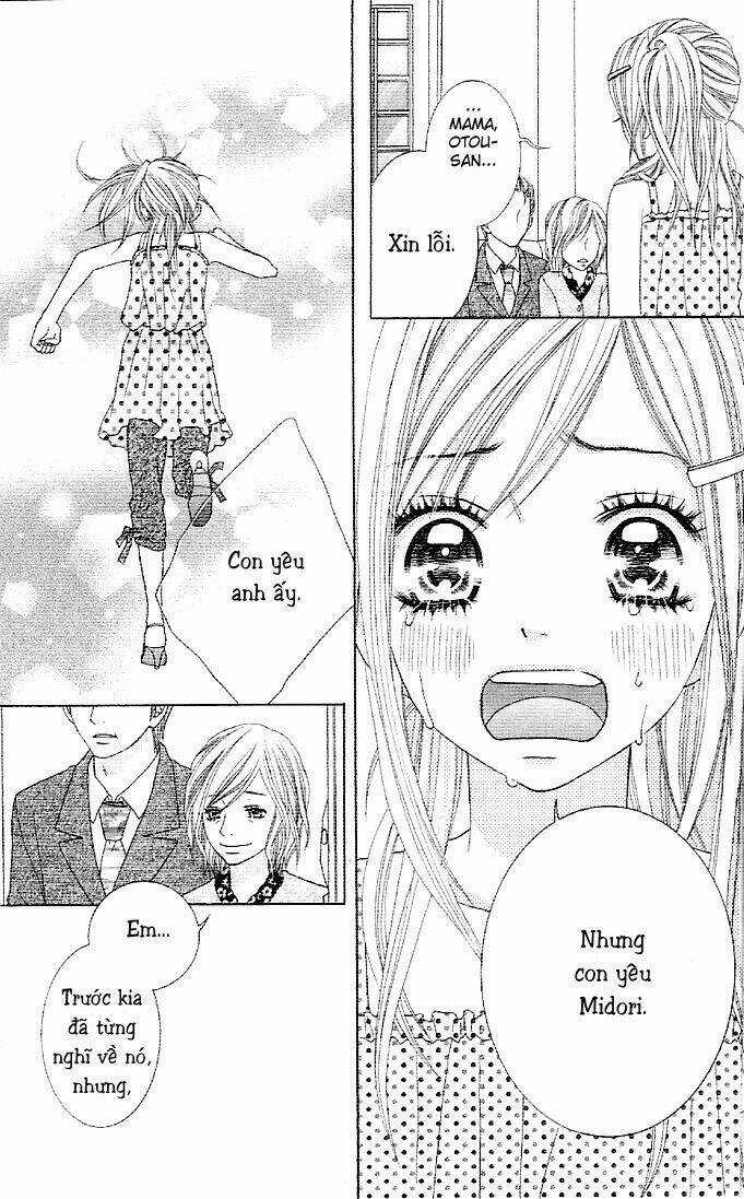 Animal Jungle Chapter 1 trang 51